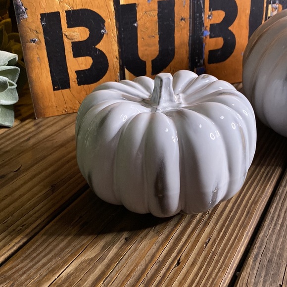 Crate&Barrel White Hand Glazed Ceramic Pumpkins - Set of Two - Medium and Small - Picture 7 of 16
